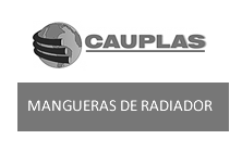 COUPLAS