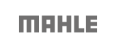 MAHLE - DESACTIVADO POR DIEGO (REVISAR IMG)