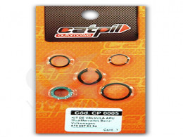 18CP0005